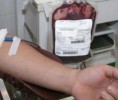 Doe Sangue